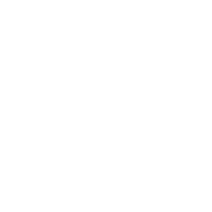 Hero slider logo10